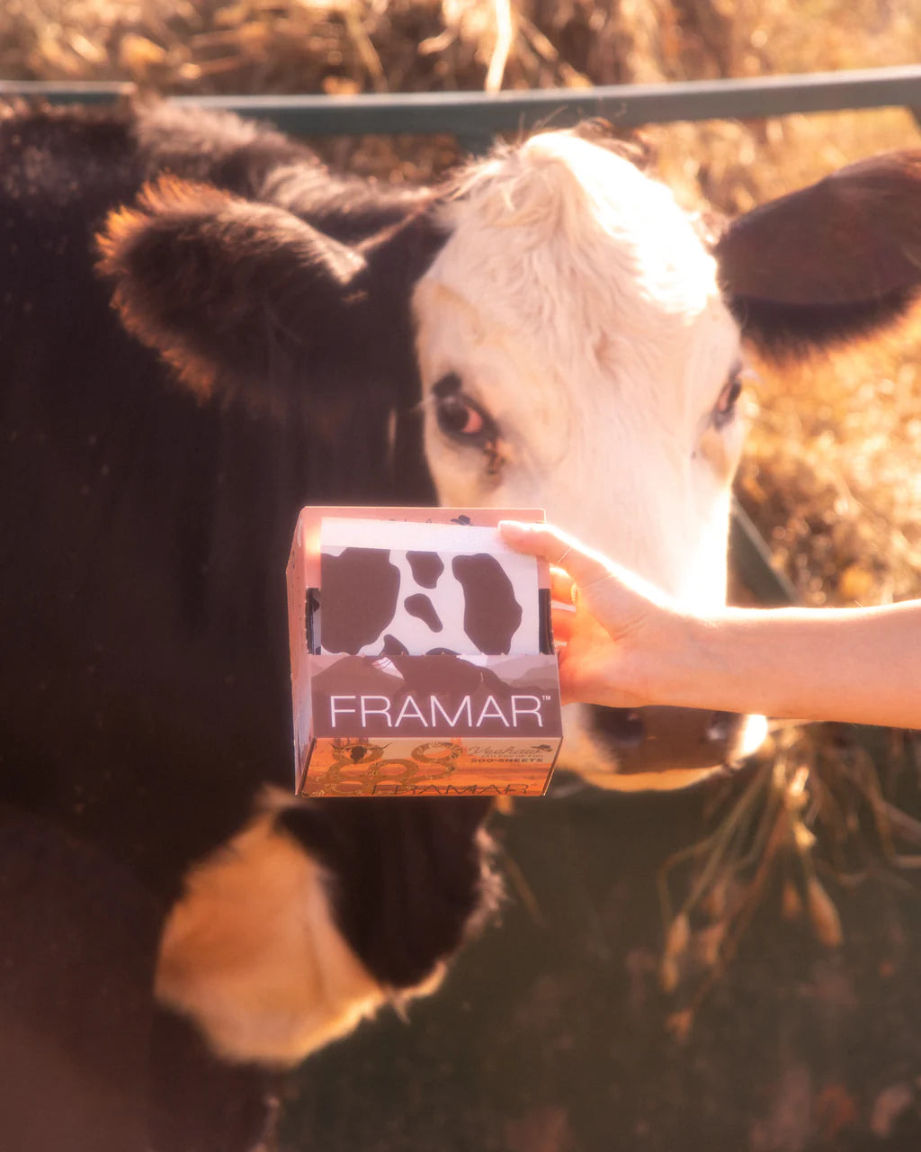 Framar - 5x11" Pop Up Foil "Yeehaw" 500 Sheets